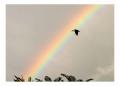 Céu, arco-iris