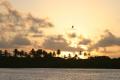 Ilha de Boipeba, praia, por-do-sol 