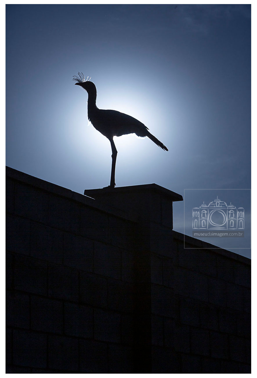 Florata Condomínio Florestal, 